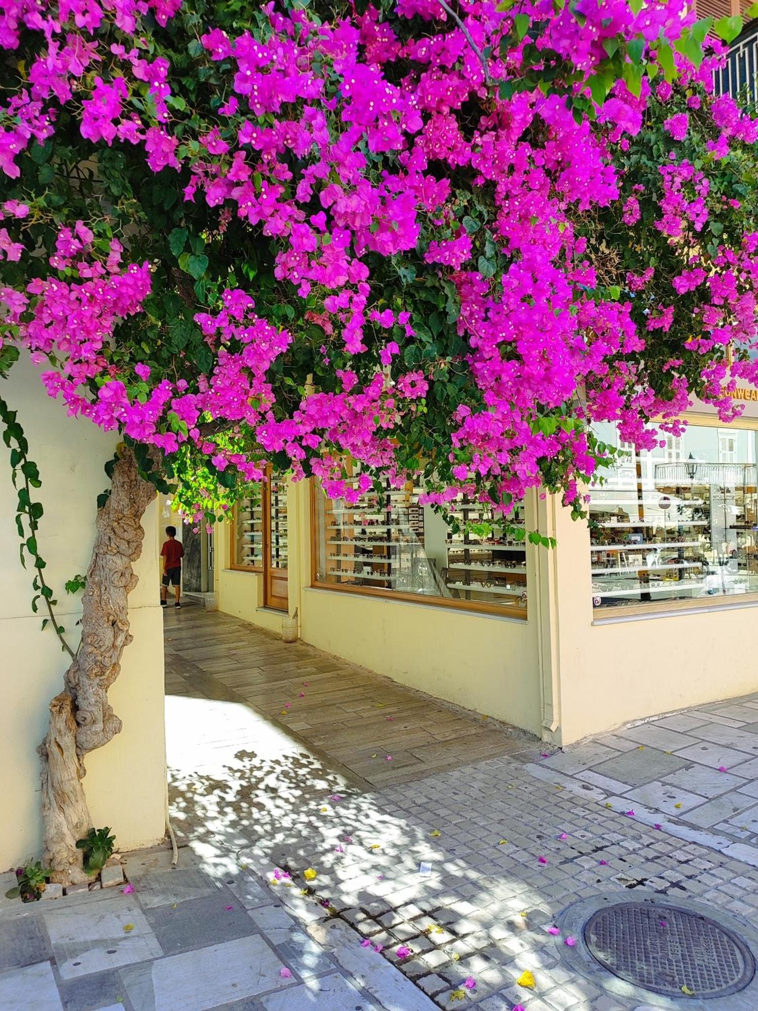 Levantes Superior Suite. Nafplio