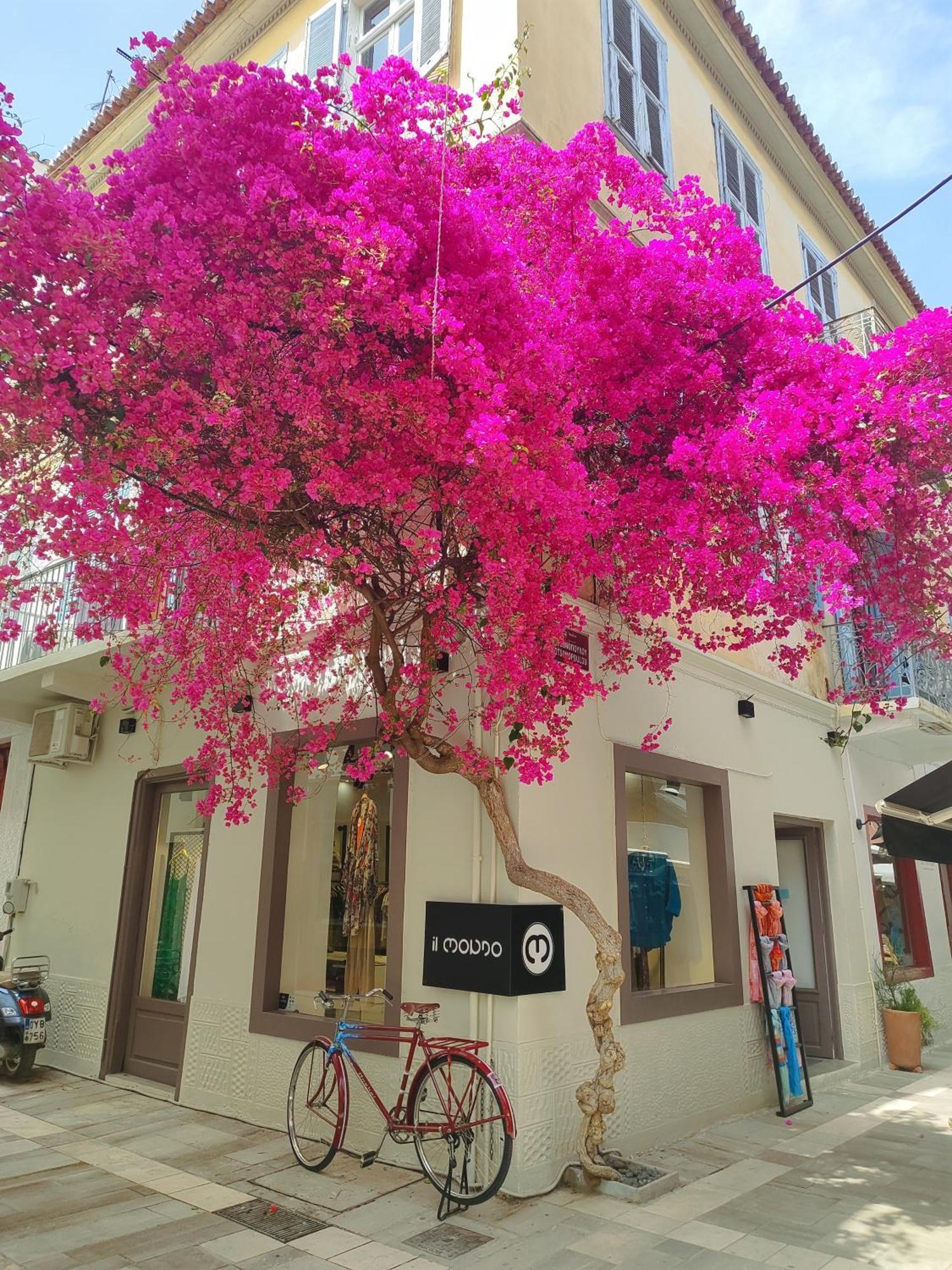 Apartment Levantes Superior Suite. Nafplio