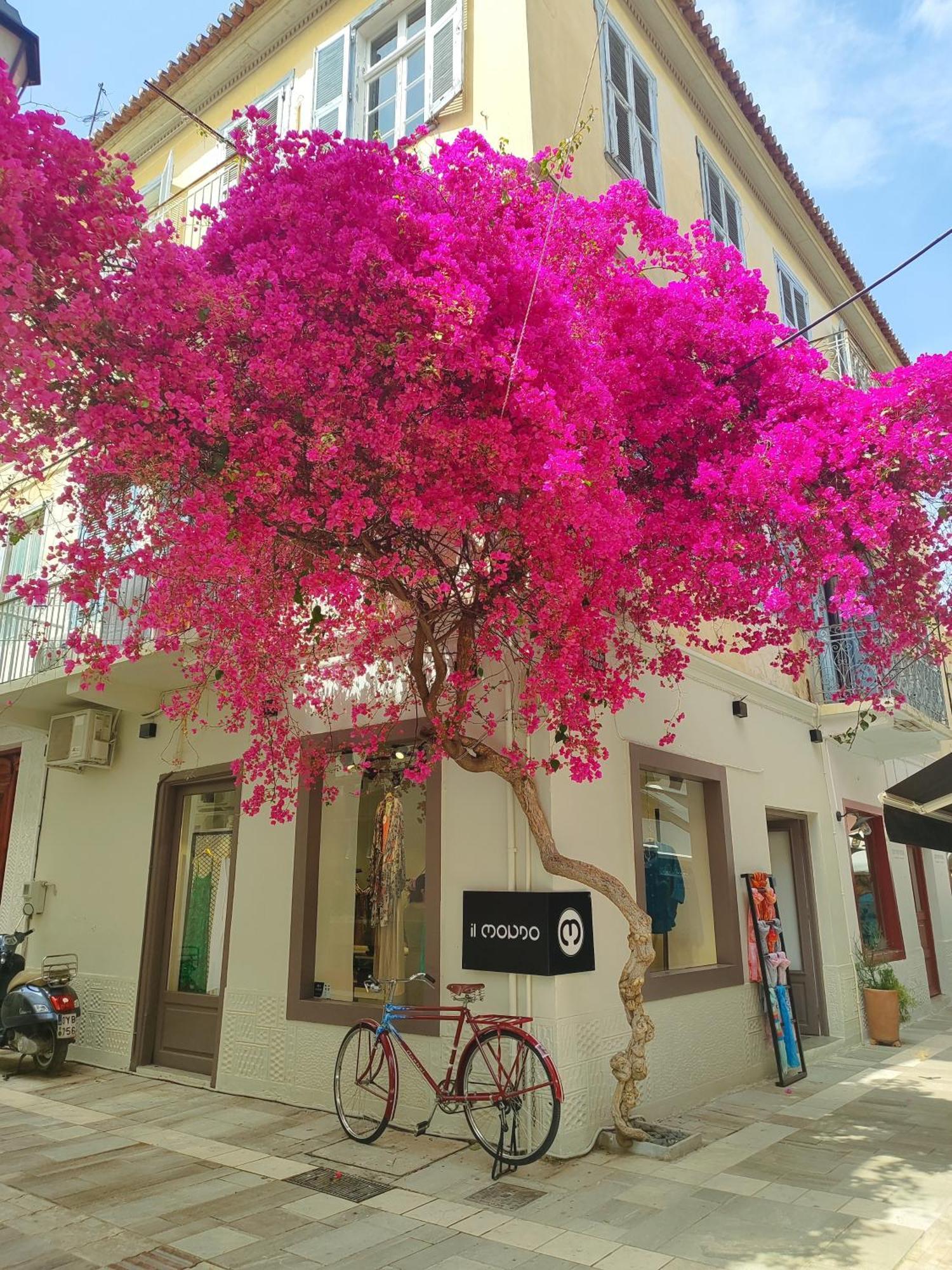 Apartment Levantes Superior Suite. Nafplio
